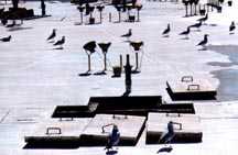 Click on the Picture for More Pictures and Information.