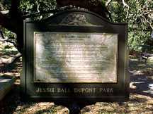 Read the story of Treaty Oak